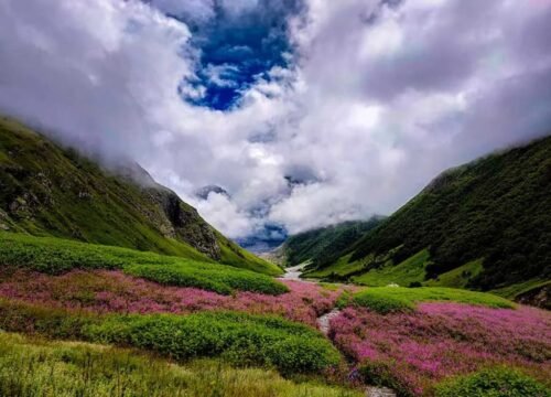 Valley of Flowers